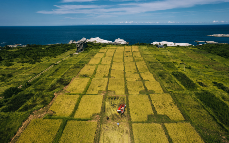 20240713-DJI_0165-已增強-雜訊減少